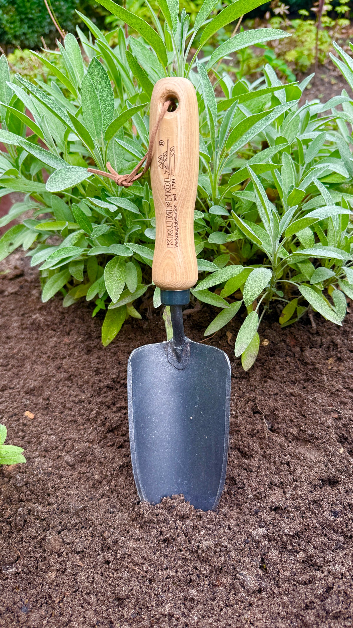 Krumpholz – Pflanzkelle mit 14 cm Eschengriff – Nr. 1480