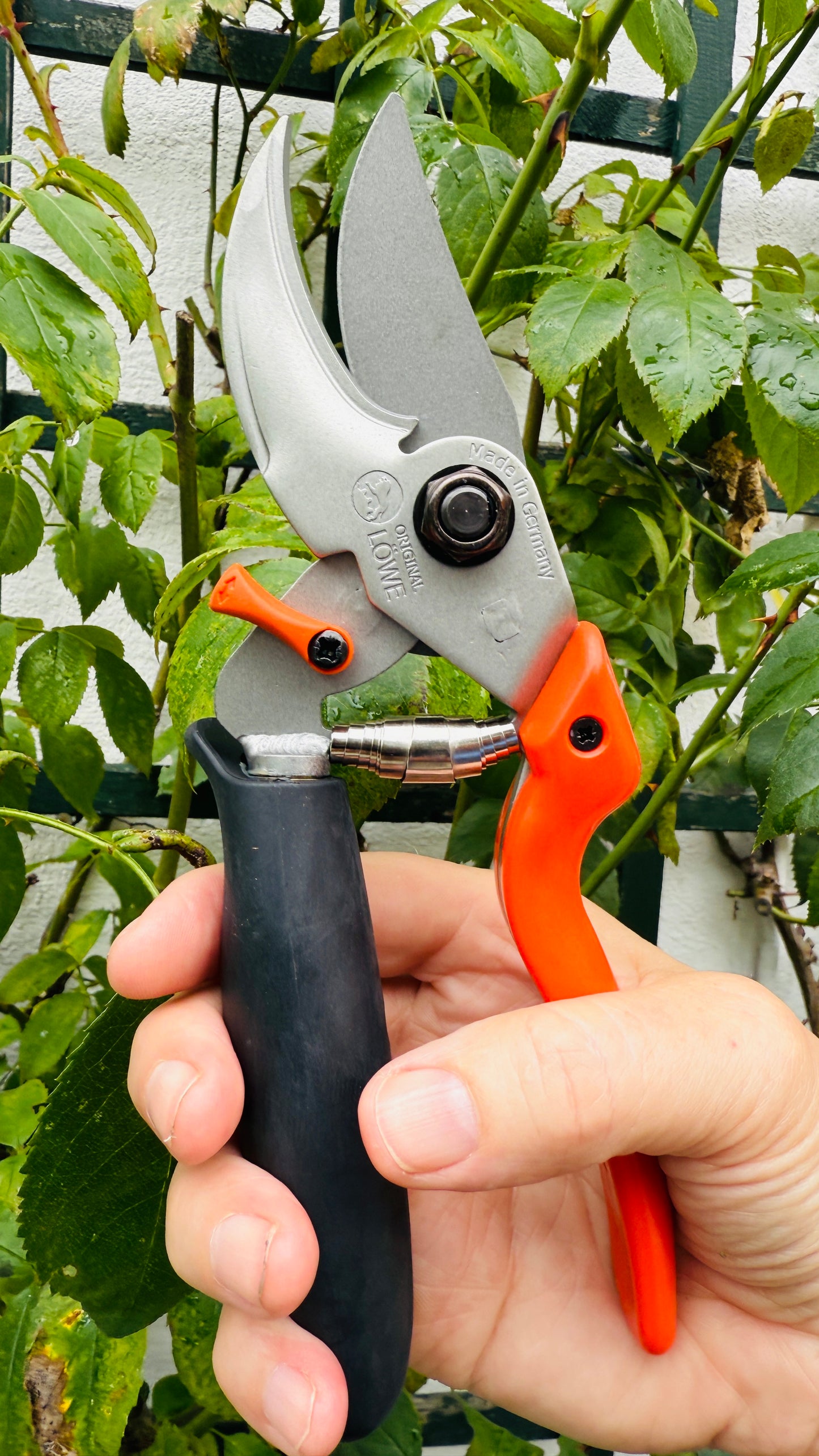 Original Löwe 9.109 Bypass Schere mit Rollgriff und langem Blatt