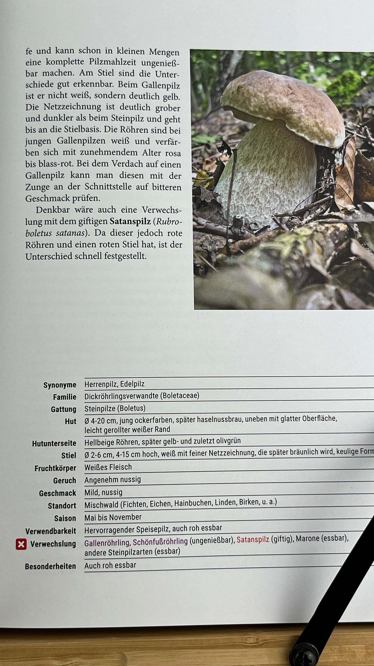 Buch Das große Pilzbuch