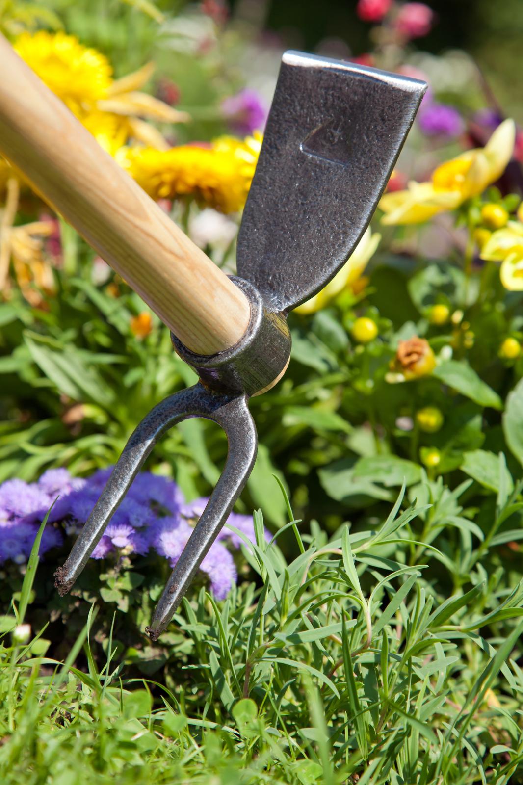 Krumpholz Hacke ca. 60 cm für Hochbeet und Garten mit Doppelfunktion Eschenstiel