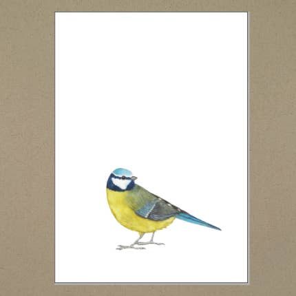 Klappkarte A6 - Blaumeise