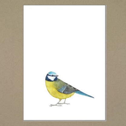 Klappkarte A6 - Blaumeise