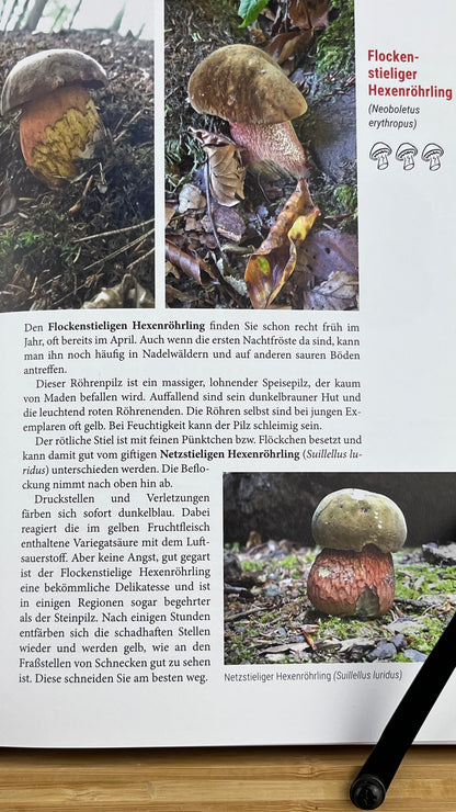 Buch Das große Pilzbuch