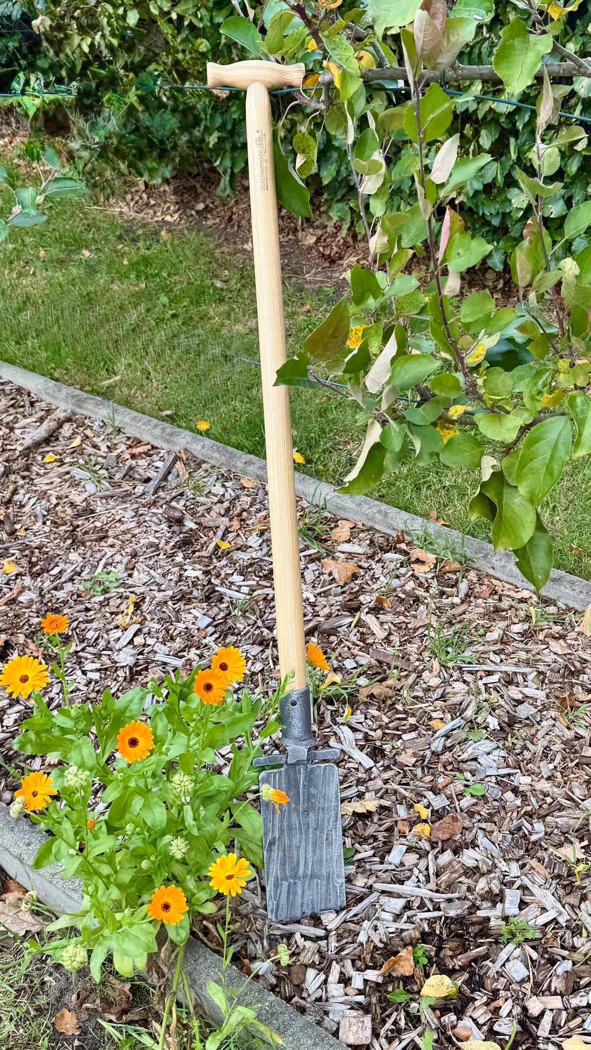Krumpholz – Beetspaten mit Tritt und 80 cm Eschen-T-Stiel – Nr. 1577/ D-Stiel 1595