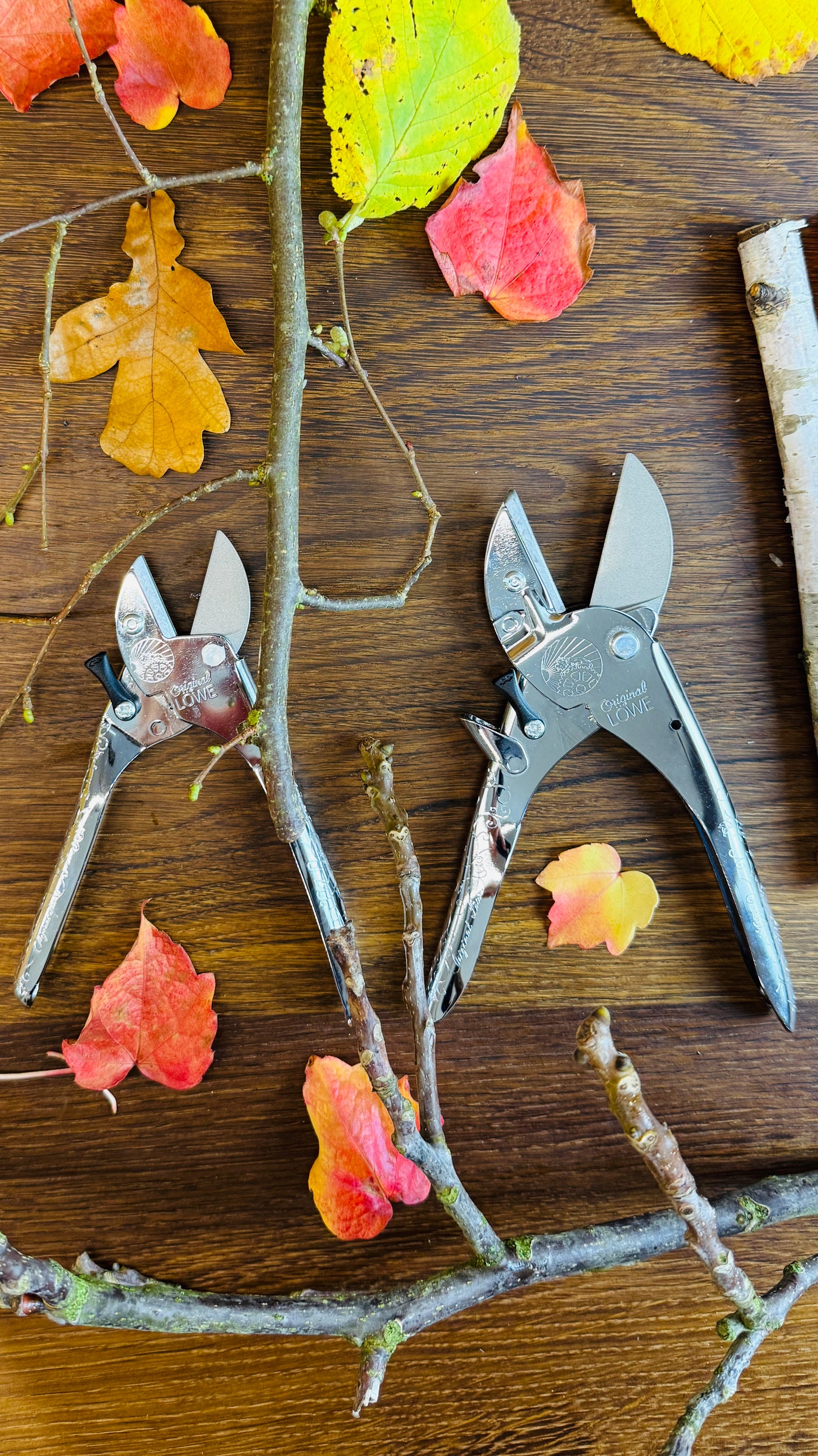 Geschenkset Original Löwe 2er Set für Sie und Ihn