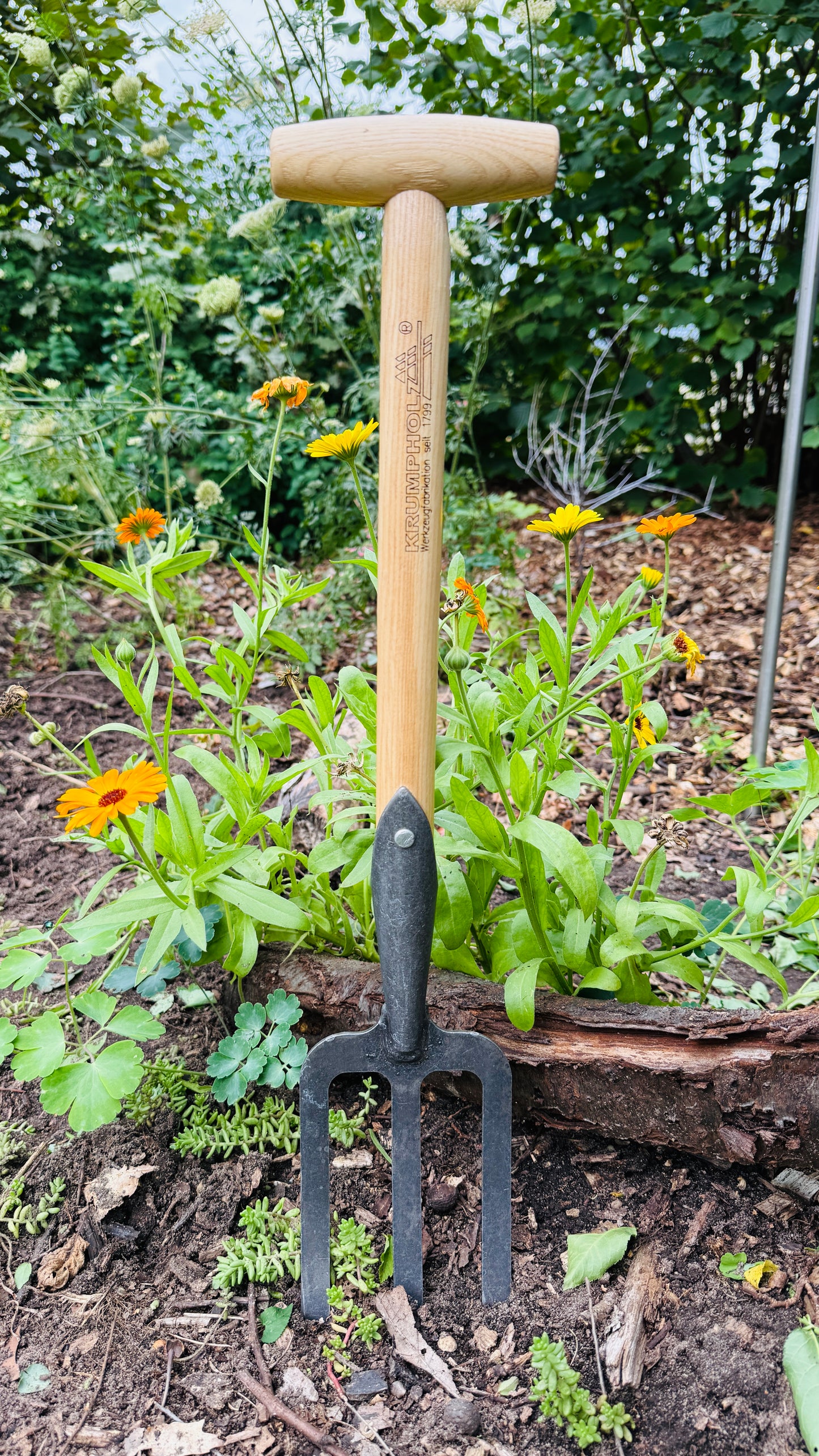 Krumpholz - Grabegabel / Staudengabel handlich klein mit Eschen-T-Stiel ca. 60cm