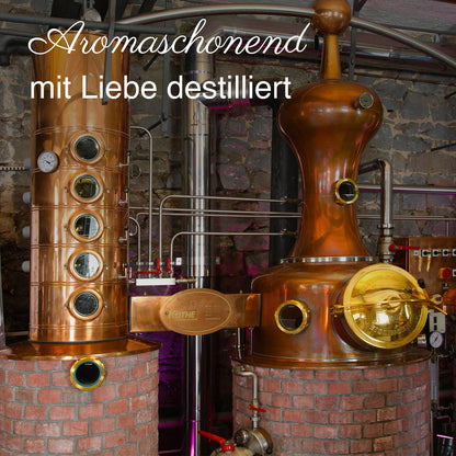 Alte Haselnuss 700 ML 40%-Vol. Spirituose