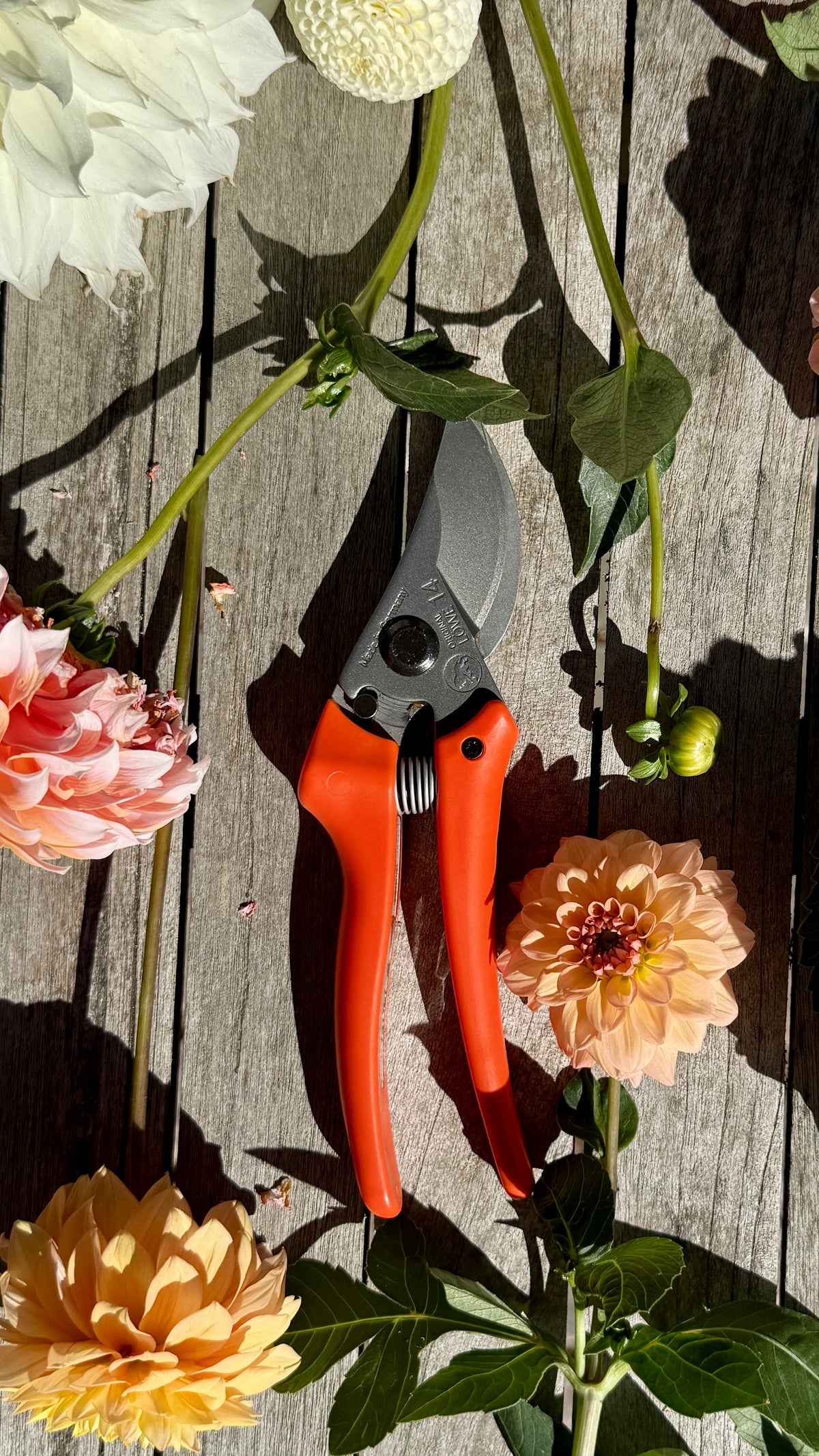 Original Löwe 14.107 Bypass scissors with curved handle