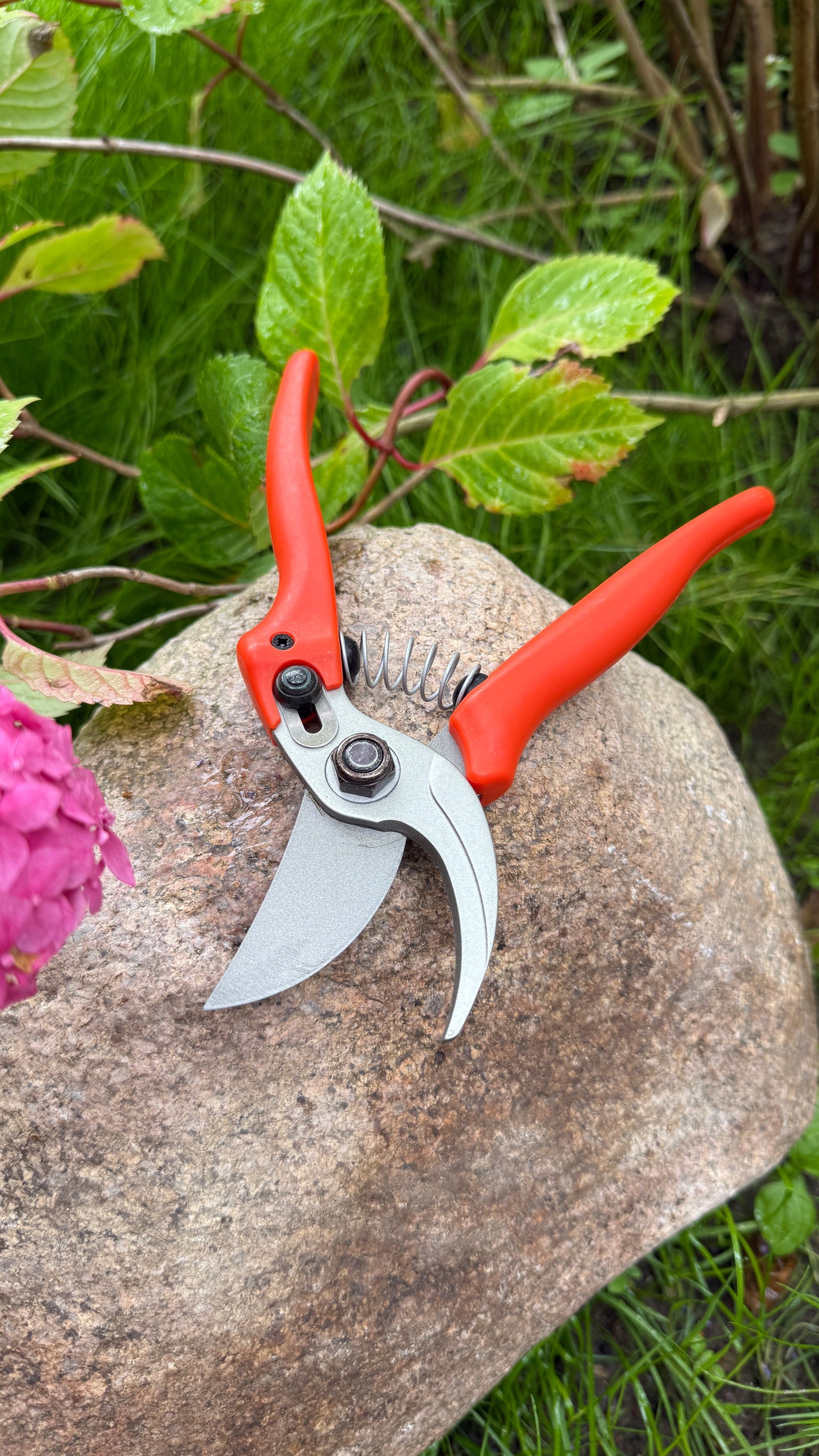 Original Löwe 14.104 Bypass Schere mit Standardgriff