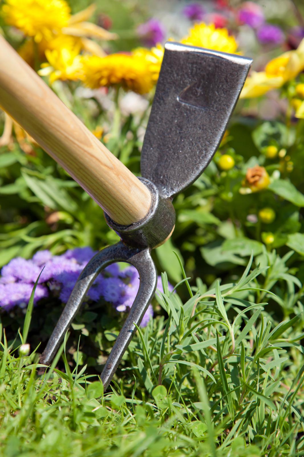Krumpholz Hacke ca. 60 cm für Hochbeet und Garten mit Doppelfunktion Eschenstiel