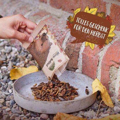 Kleine Mahlzeit Igel