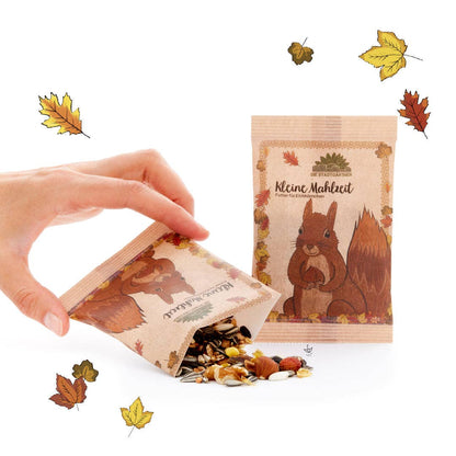 Kleine Mahlzeit Eichhörnchen