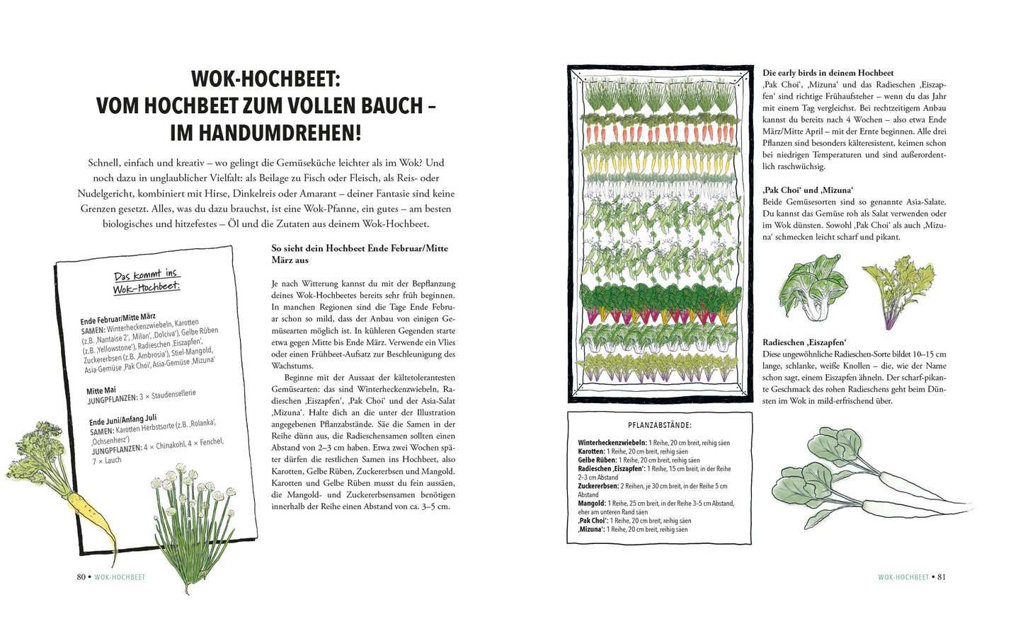 Buch Das unglaubliche Hochbeet