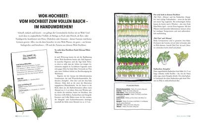 Buch Das unglaubliche Hochbeet