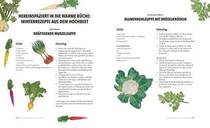 Buch Das sensationelle Winterhochbeet
