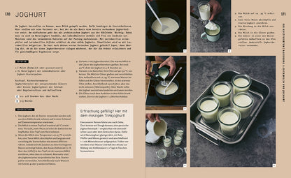 Buch Magic Fermentation