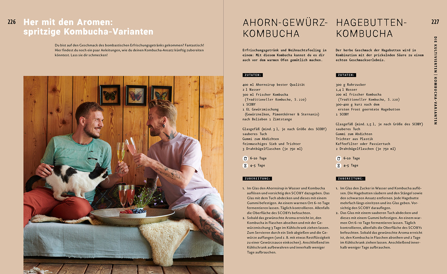 Buch Magic Fermentation