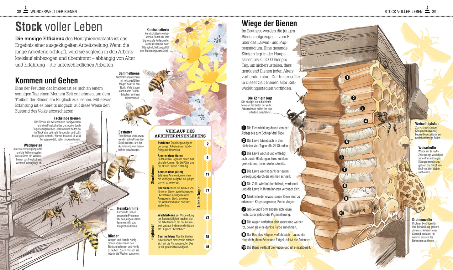 Buch Das Bienen Buch