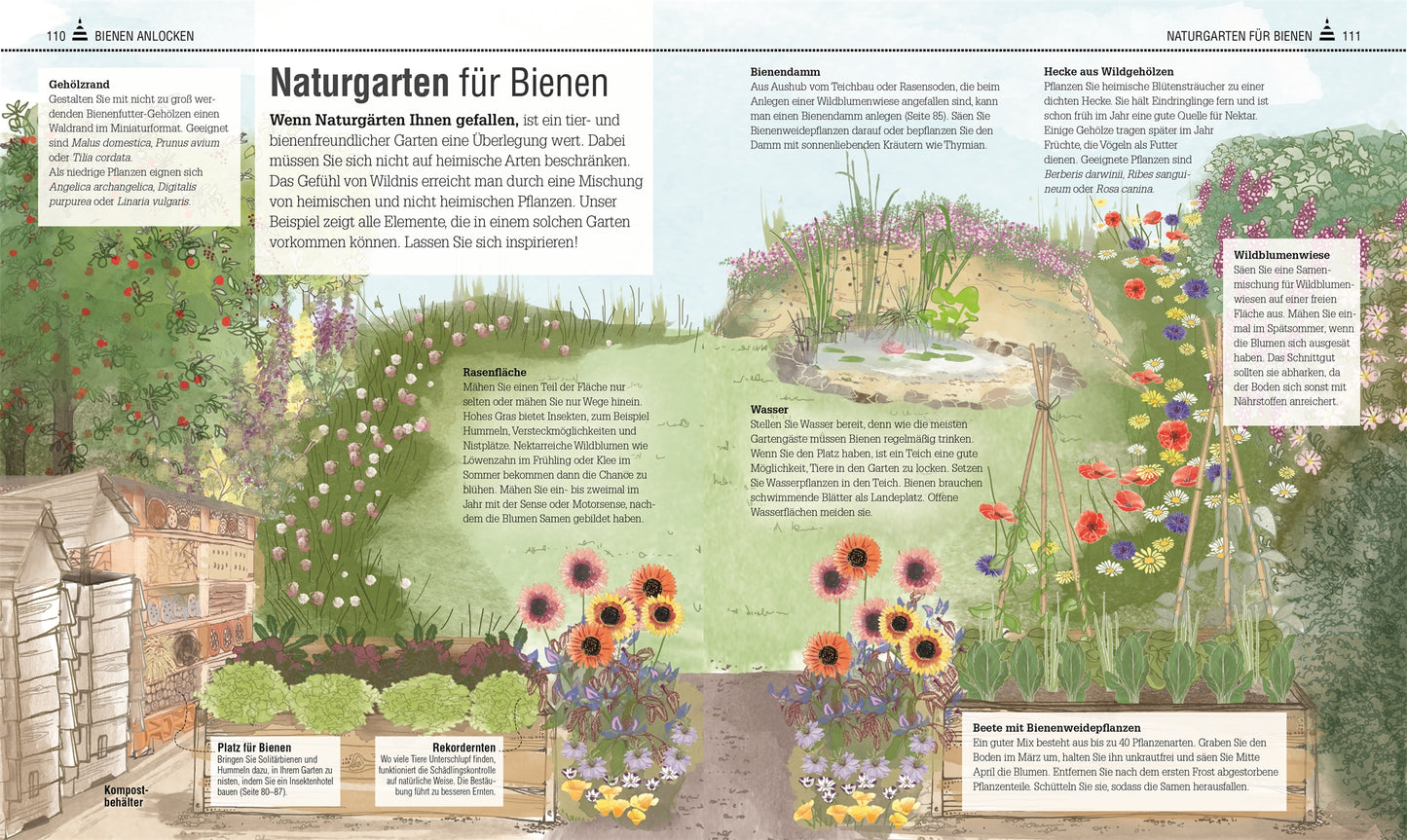Buch Das Bienen Buch