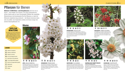 Buch Das Bienen Buch