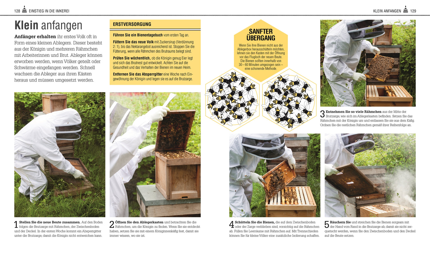 Buch Das Bienen Buch