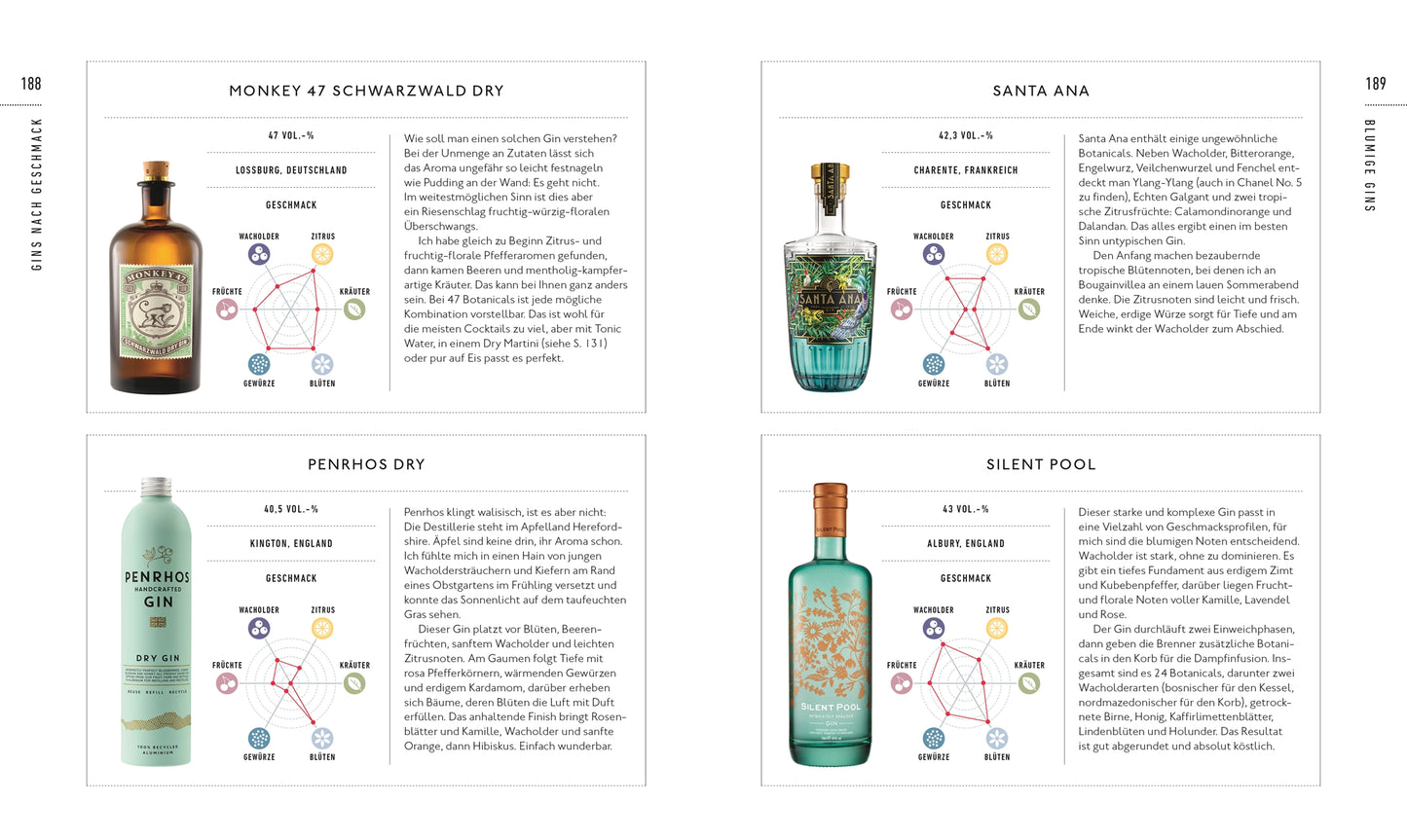 Buch Workshop Gin