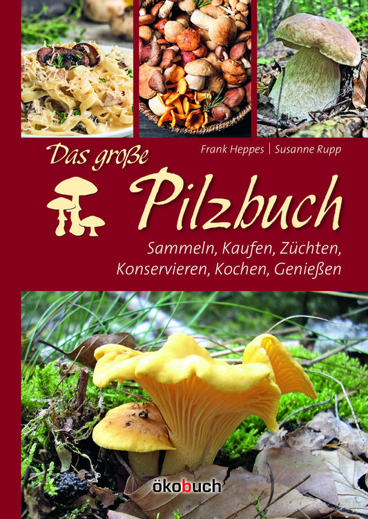 Buch Das große Pilzbuch