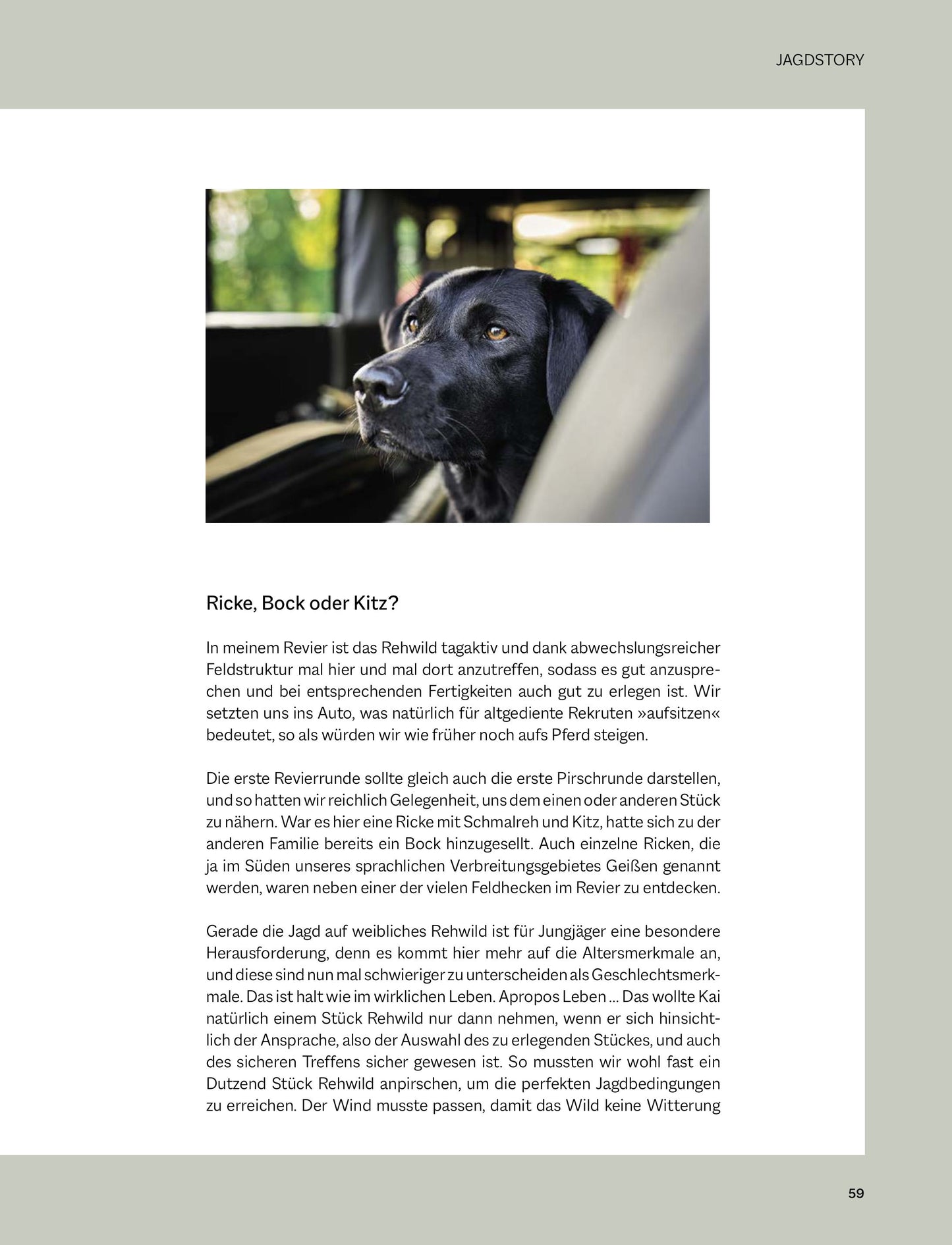 Buch Wild genießen