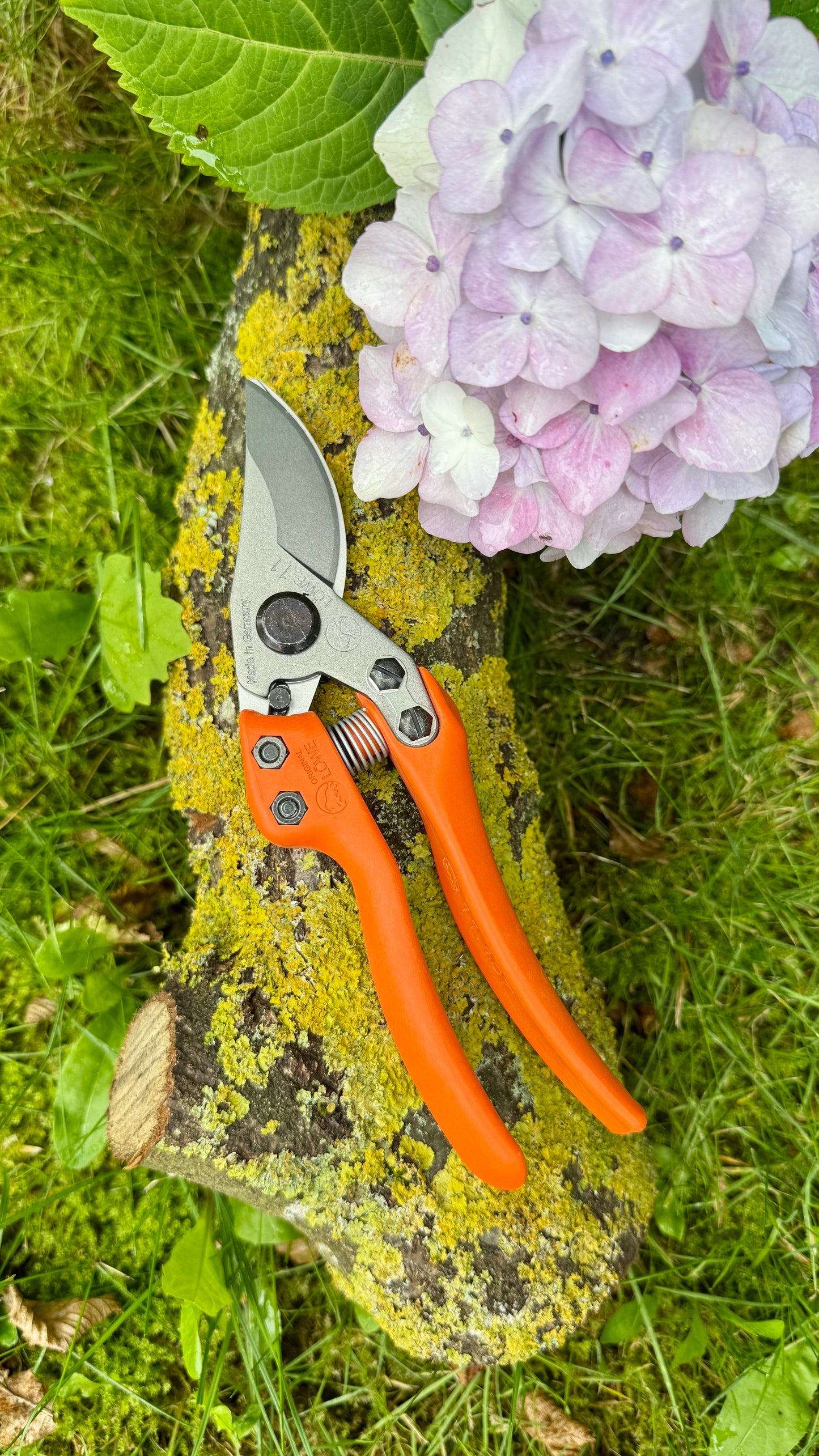 Original Löwe 11.107 Bypass Schere mit geschwungenen Griff und langem Blatt
