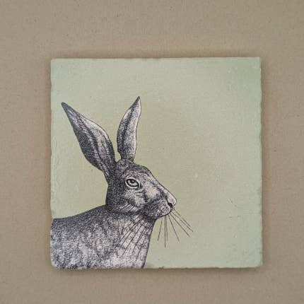 Fliese - Hase