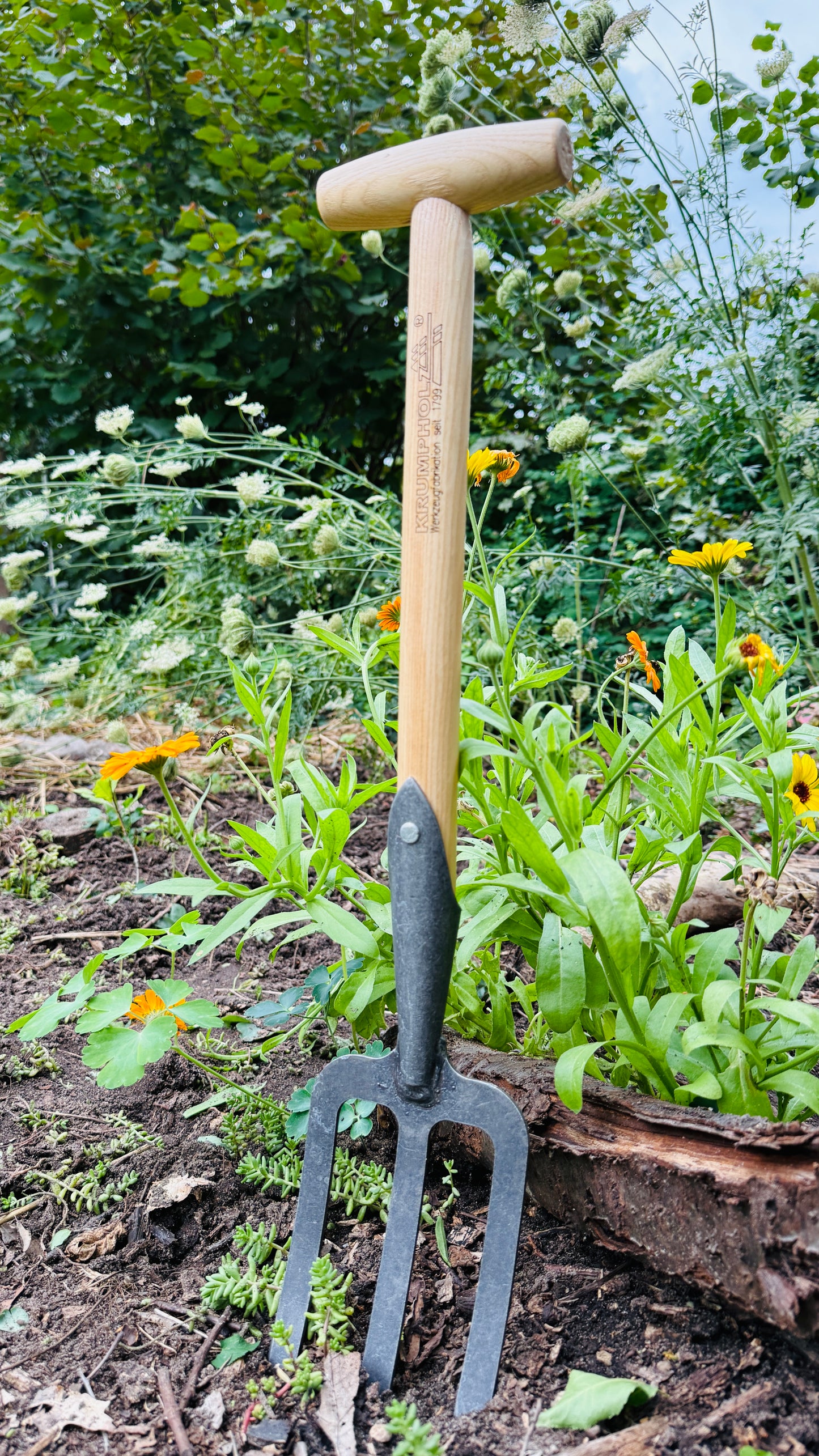 Krumpholz - Grabegabel / Staudengabel handlich klein mit Eschen-T-Stiel ca. 60cm