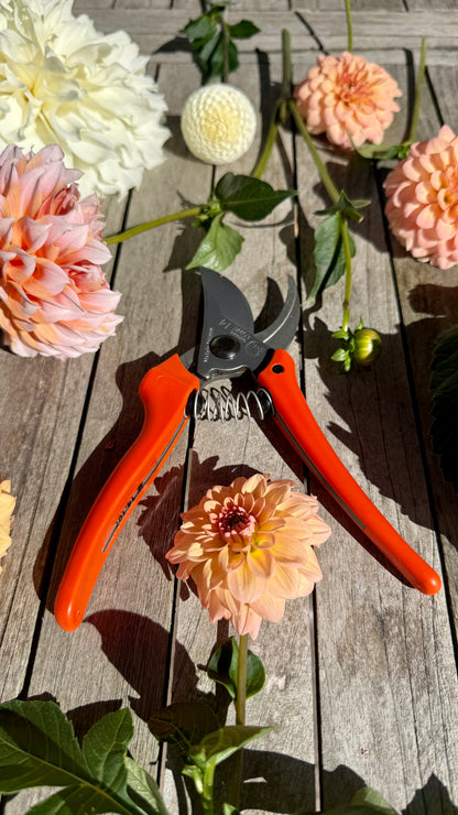 Original Löwe 14.107 Bypass scissors with curved handle