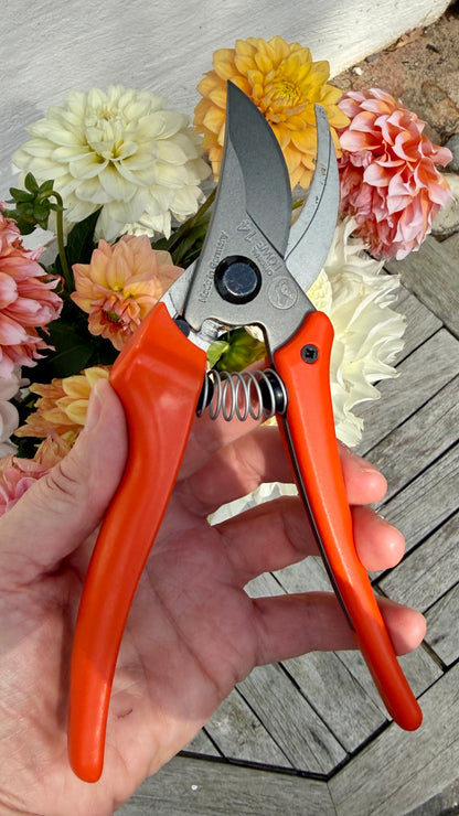 Original Löwe 14.107 Bypass scissors with curved handle
