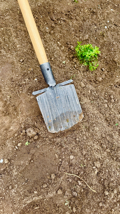 Krumpholz – Damenspaten „Elke“ mit 85 cm Eschenstiel – Nr. 1589