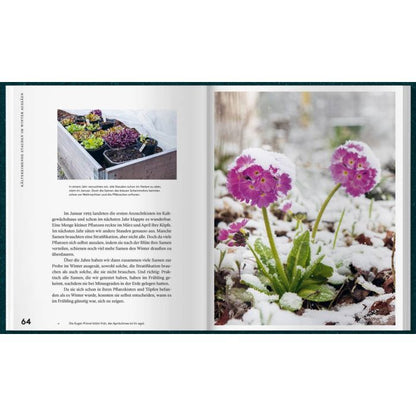 Mit Kaltanbau zu grünen Wundern