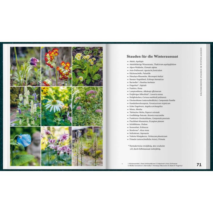 Mit Kaltanbau zu grünen Wundern