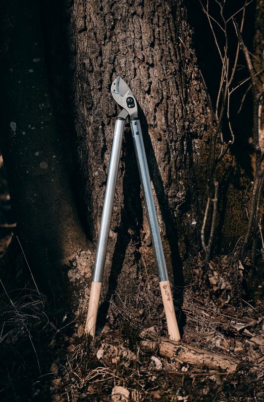 Original LÖWE 22 Natural – Astschere – Professional Power Cut – Nr. N22.080 – 80 cm | Ø 45 mm