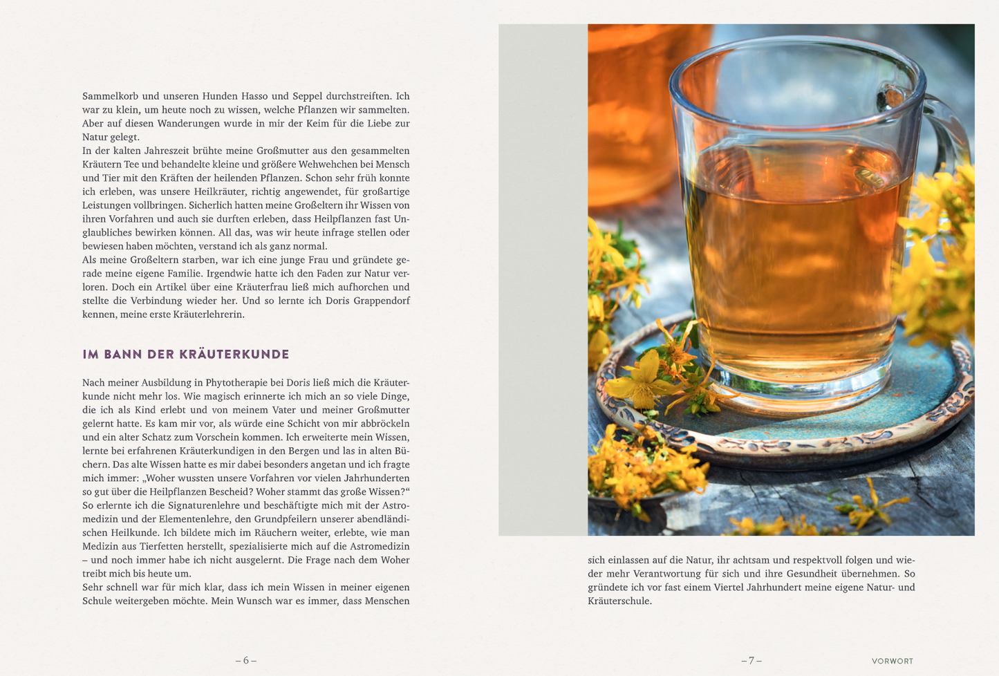 Buch Die wilden Neun