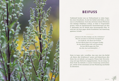 Buch Die wilden Neun