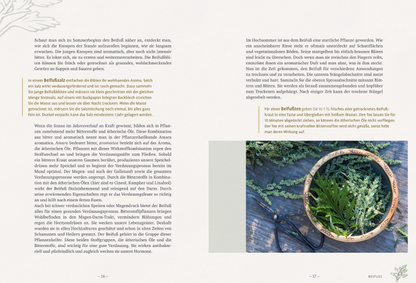 Buch Die wilden Neun