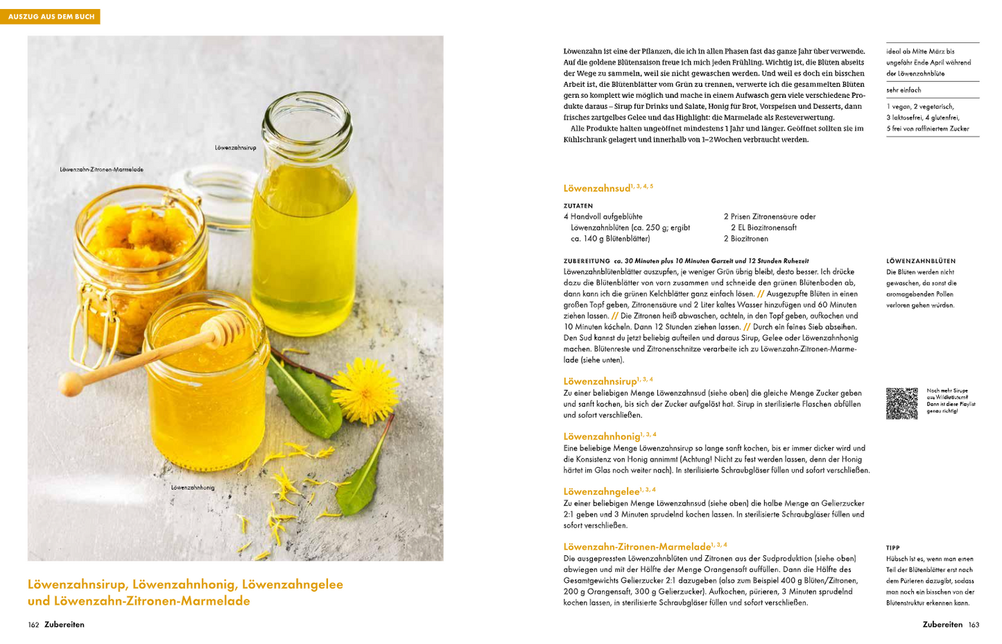 Buch Wildkräuter – Bestimmen, Sammeln, Zubereiten