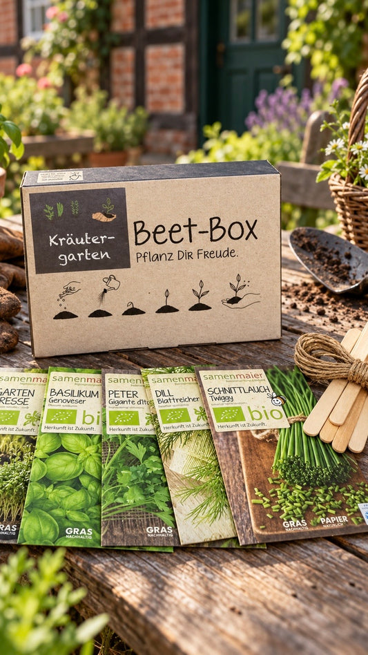 Samen Maier - BIO Beet-Box „Kräutergarten“ – 5 Kräutersorten