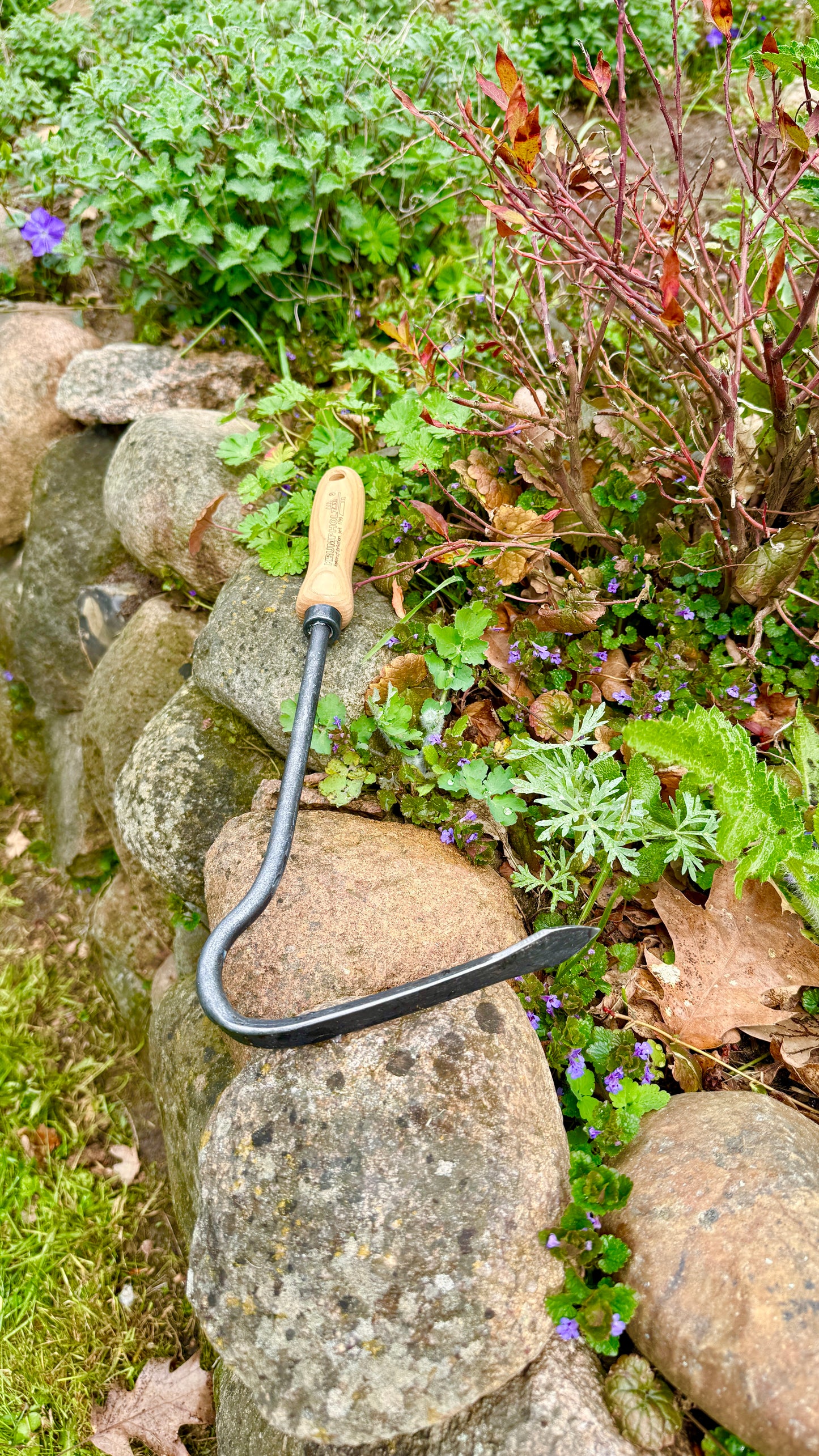 Krumpholz – Sauzahn mit 14 cm Eschengriff ca. 38 cm Gesamtlänge – Nr. 1307