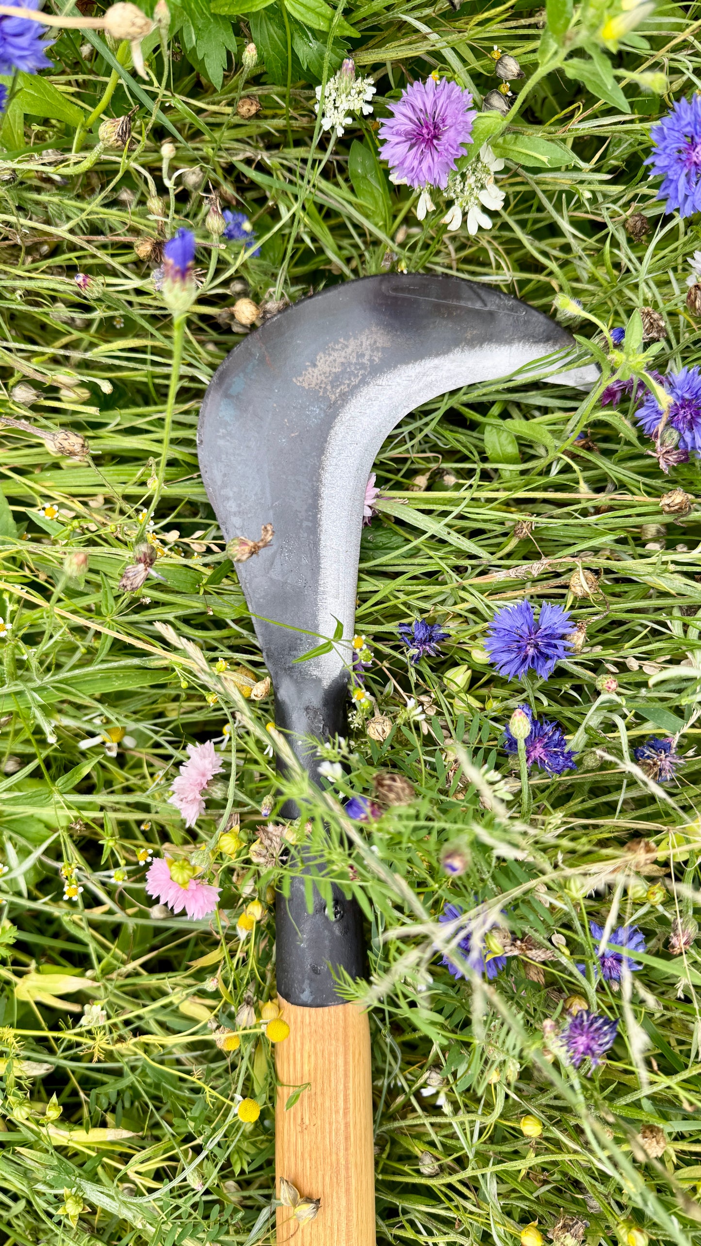 Krumpholz - Gartensichel / Sichel mit Eschen-Knopf-Stiel ca. 60 cm Gesamtlänge