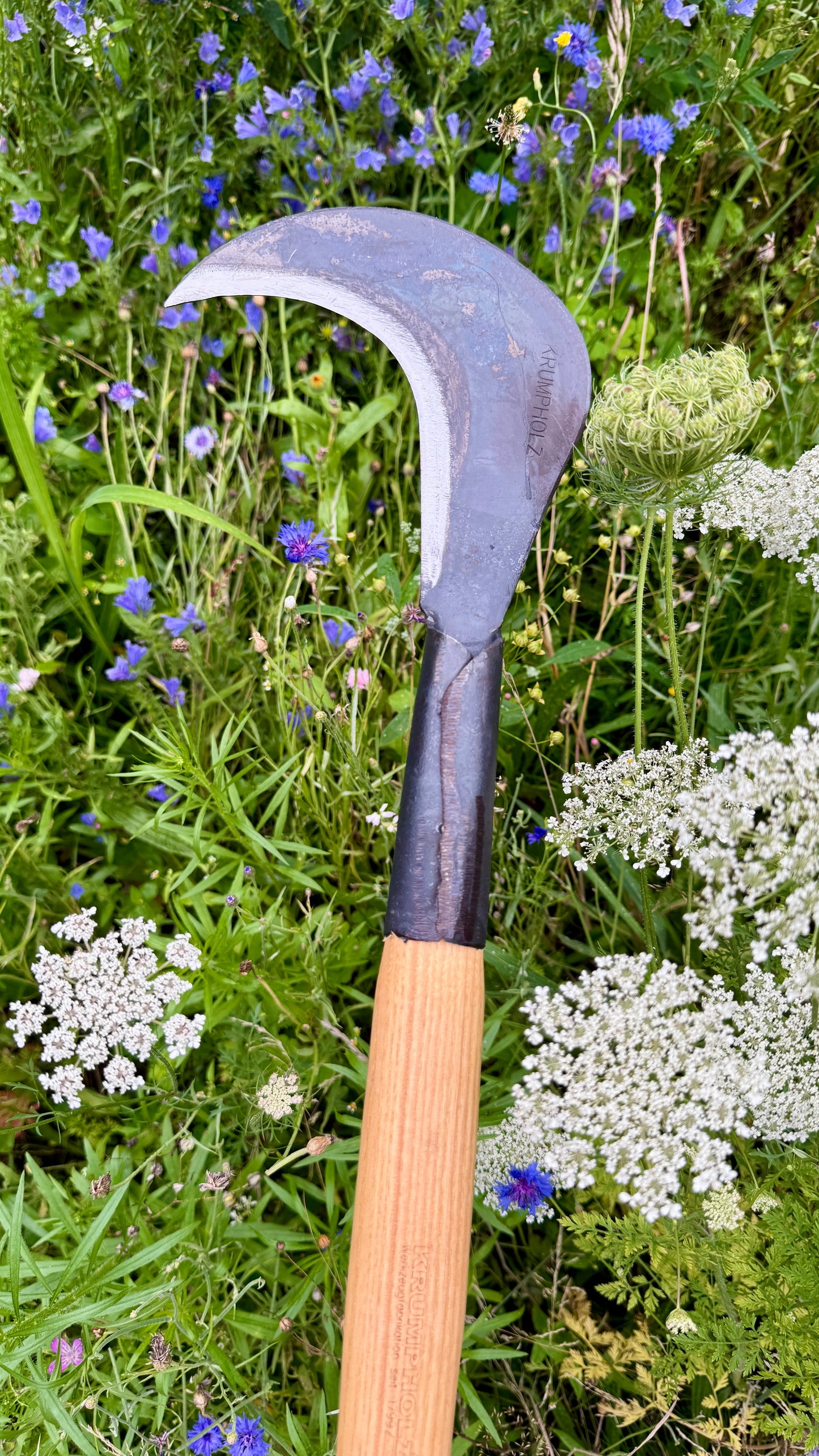 Krumpholz - Gartensichel / Sichel mit Eschen-Knopf-Stiel ca. 60 cm Gesamtlänge