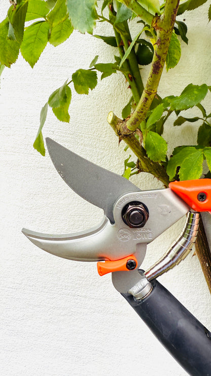 Original Löwe 9.109 Bypass Schere mit Rollgriff und langem Blatt