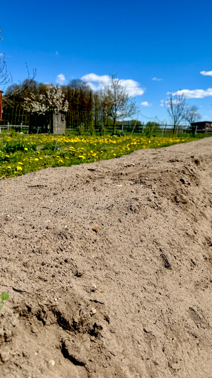 Krumpholz Unkraut- und Spargelstecher
