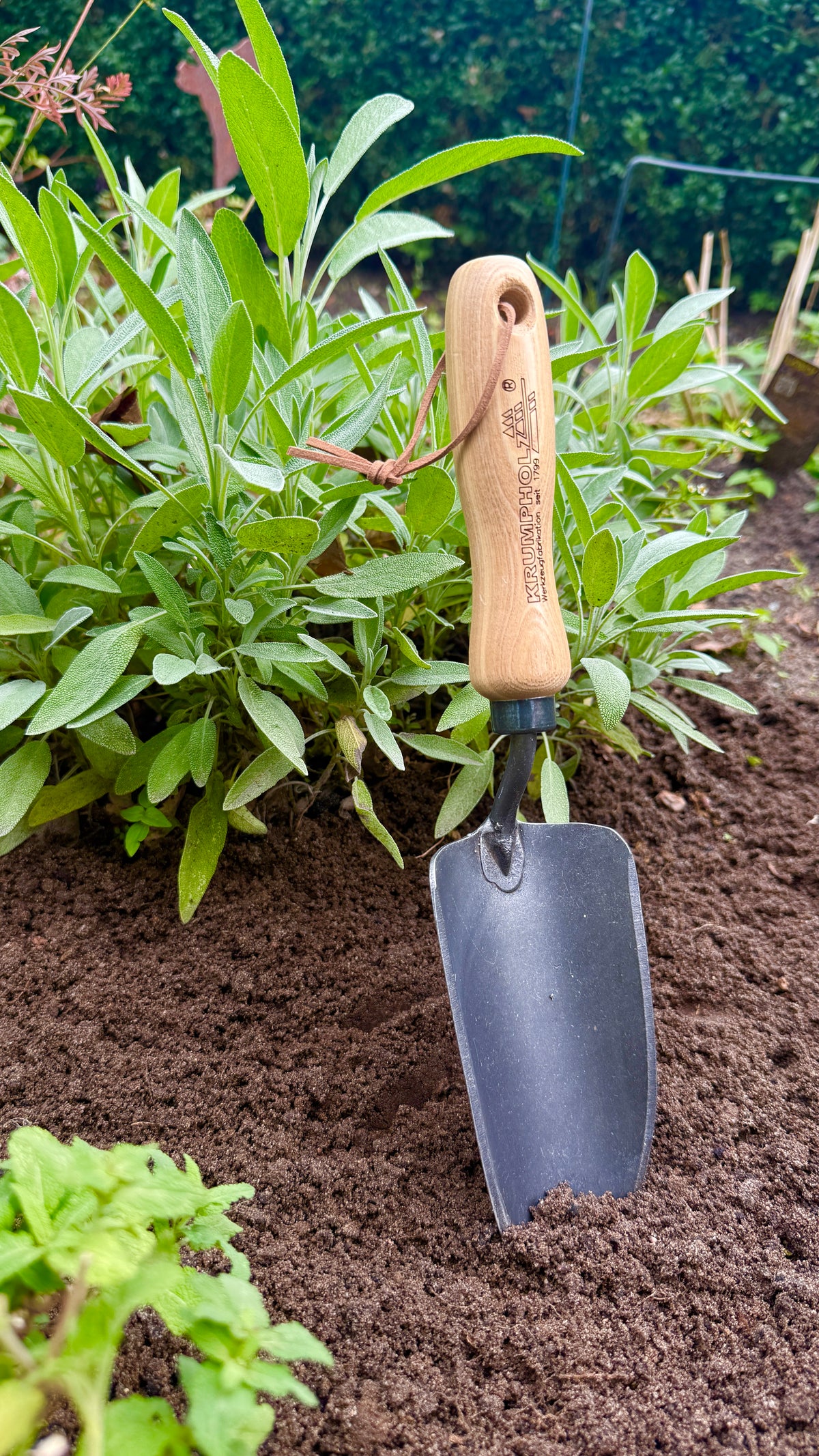 Krumpholz – Pflanzkelle mit 14 cm Eschengriff – Nr. 1480
