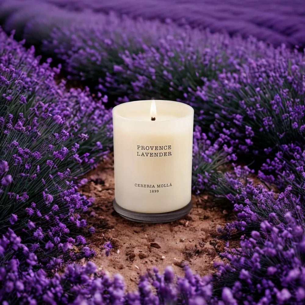 Duftkerze Provence Lavender – Lavendel & Lemongrass