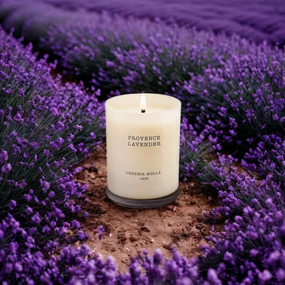 Duftkerze Provence Lavender – Lavendel & Lemongrass